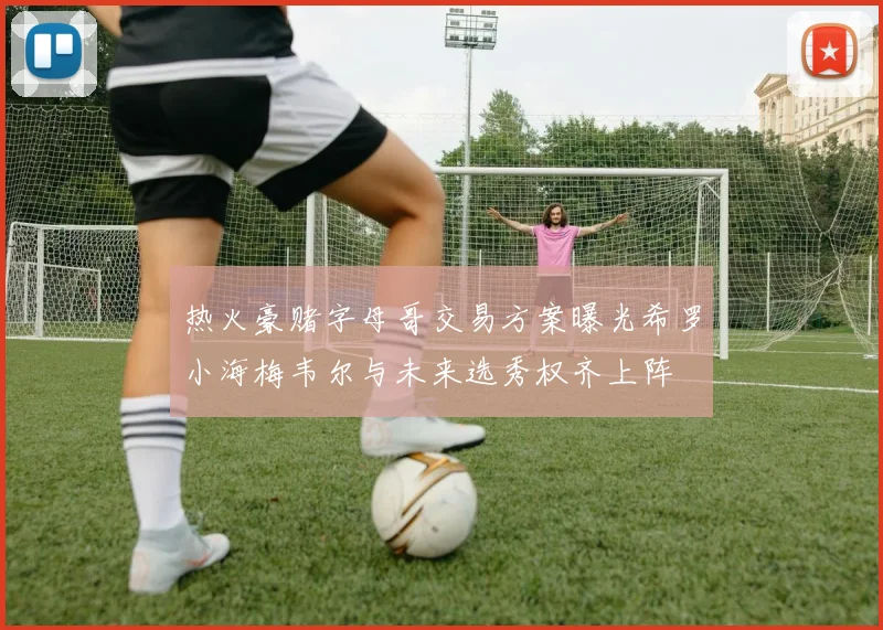 热火豪赌字母哥交易方案曝光希罗小海梅韦尔与未来选秀权齐上阵
